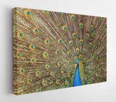 Canvas schilderij - Bird pattern colorful green  -     45911 - 115*75 Horizontal