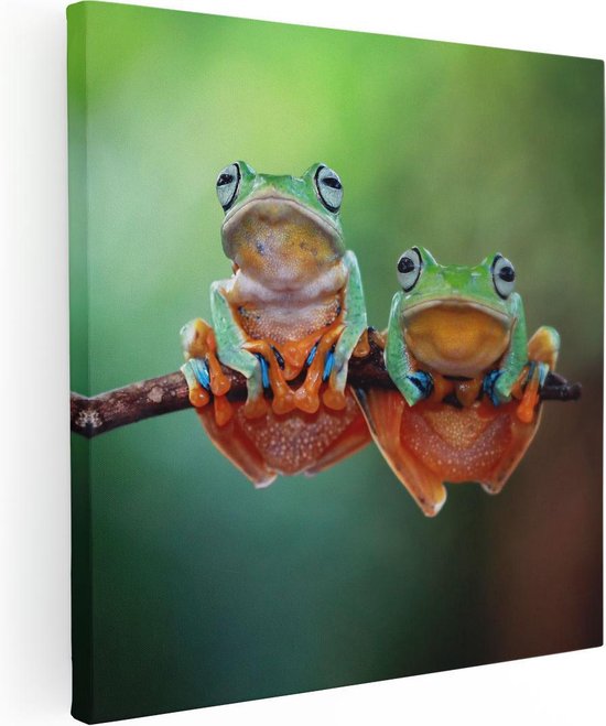 Artaza Canvas Schilderij Twee Boomkikkers op een Tak - 70x70 - Foto Op Canvas - Canvas Print
