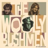 Woolly Bushmen - In Shambles (LP)