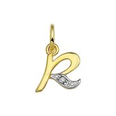 Hanger Letter Diamant 0.01ct H P1