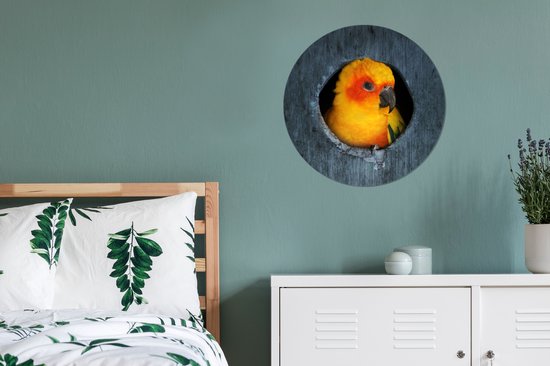 WallCircle - Muurstickers - Behangcirkel - Een Zonparkiet zit in een nest in een boom - 80x80 cm - Muurcirkel - Zelfklevend - Ronde Behangsticker