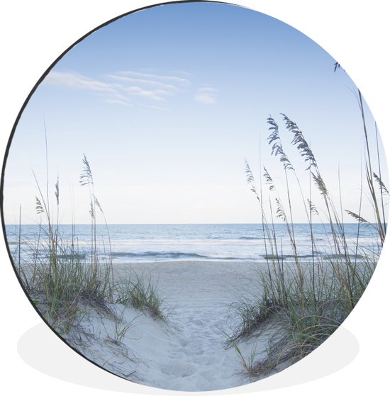 Foto: Wallcircle wandcirkel muurcirkel helmgras groeit in het zand op de duinen aluminium dibond 60 cm binnen en buiten