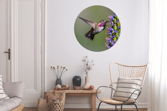 WallCircle - Wandcirkel - Muurcirkel - Kolibrie - Plant - Paars - Aluminium - Dibond - ⌀ 90 cm - Binnen en Buiten