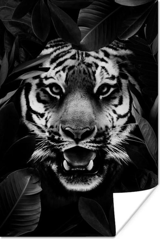 Poster Tigre parmi les feuilles noir et blanc 120x180 cm XXL bol