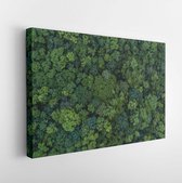 Canvas schilderij - Aerial top view forest tree, Rainforest ecosystem and healthy environment concept and background, Texture of green tree forest view from above.  -     639949456