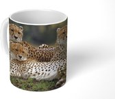 Mok - Drie cheetahs op de savanne - 350 ML - Beker