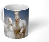 Mok - Paarden - Water - Frankrijk - 350 ML - Beker