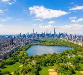 Groene strook van Central Park en de skyline van New York - Fotobehang (in banen) - 450 x 260 cm