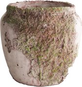 - planter cement ø20x18.5cm - antique grey - 20x185x