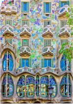Het beroemde gevelhuis Casa Batlló van Gaudí in Barcelona - Foto op Forex - 50 x 70 cm (B2)