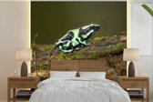 Papier peint photo vinyle - Grenouille verte poison dart sur une souche d'arbre au Costa Rica largeur 350 cm x hauteur 350 cm - Tirage photo sur papier peint (disponible en 7 tailles)
