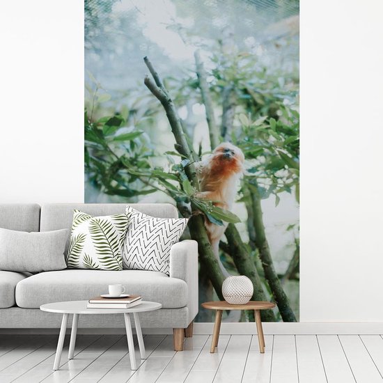 Papier Peint - Papier peint photo Marmotte Pygmée dans un Arbre - Largeur 200 cm x Hauteur 300 cm