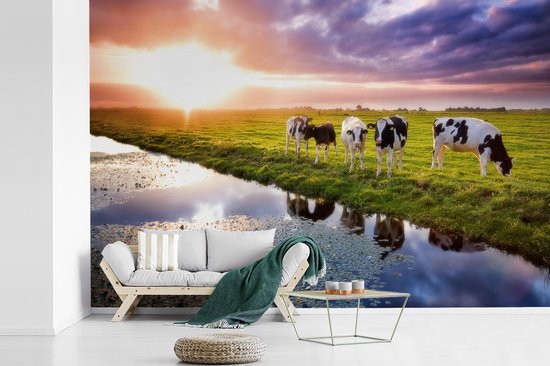 Behang - Fotobehang Koeien tijdens een zonsondergang - Breedte 420 cm x hoogte 280 cm