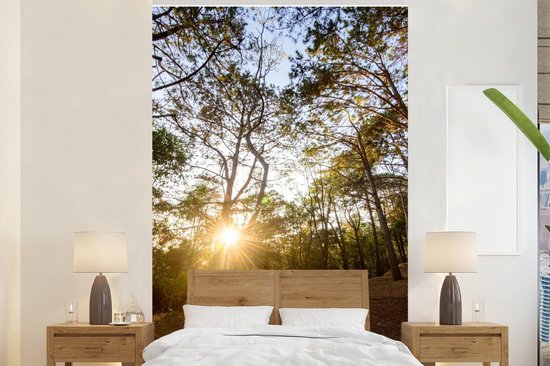 Papier Peint - Papiers Papier peint photo Le soleil se lève entre les arbres dans la forêt du parc national Phu Hin Rong Kla - Largeur 180 cm x Hauteur 280 cm