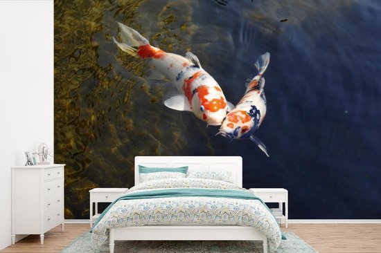 Papier peint photo peint photo vinyle - Deux carpes koï dans l'eau largeur 450 cm x hauteur 300 cm - Tirage photo sur papier peint (disponible en 7 tailles)