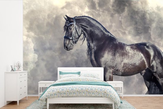 Behang - Fotobehang Fries - Paarden - Portret - Breedte 390 cm x hoogte 260  cm | bol.com