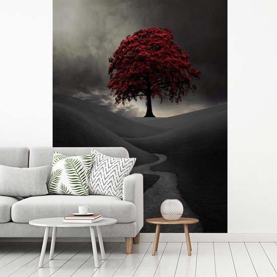 Papier peint vinyle - Une photo noir et blanc avec un grand arbre rouge largeur 190 cm x hauteur 260 cm - Tirage photo sur papier peint (disponible en 7 tailles)
