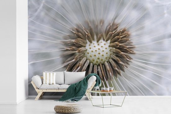 Papier peint photo peint vinyle - Il manque quelques graines de pissenlit largeur 525 cm x hauteur 350 cm - Tirage photo sur papier peint (disponible en 7 tailles)