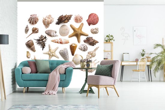 Sélection de coquillages et de fotobehang étoiles de mer