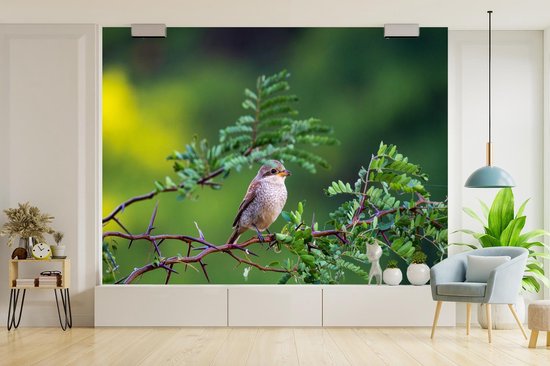 Vogel sur une branche dans la forêt 400x300 cm