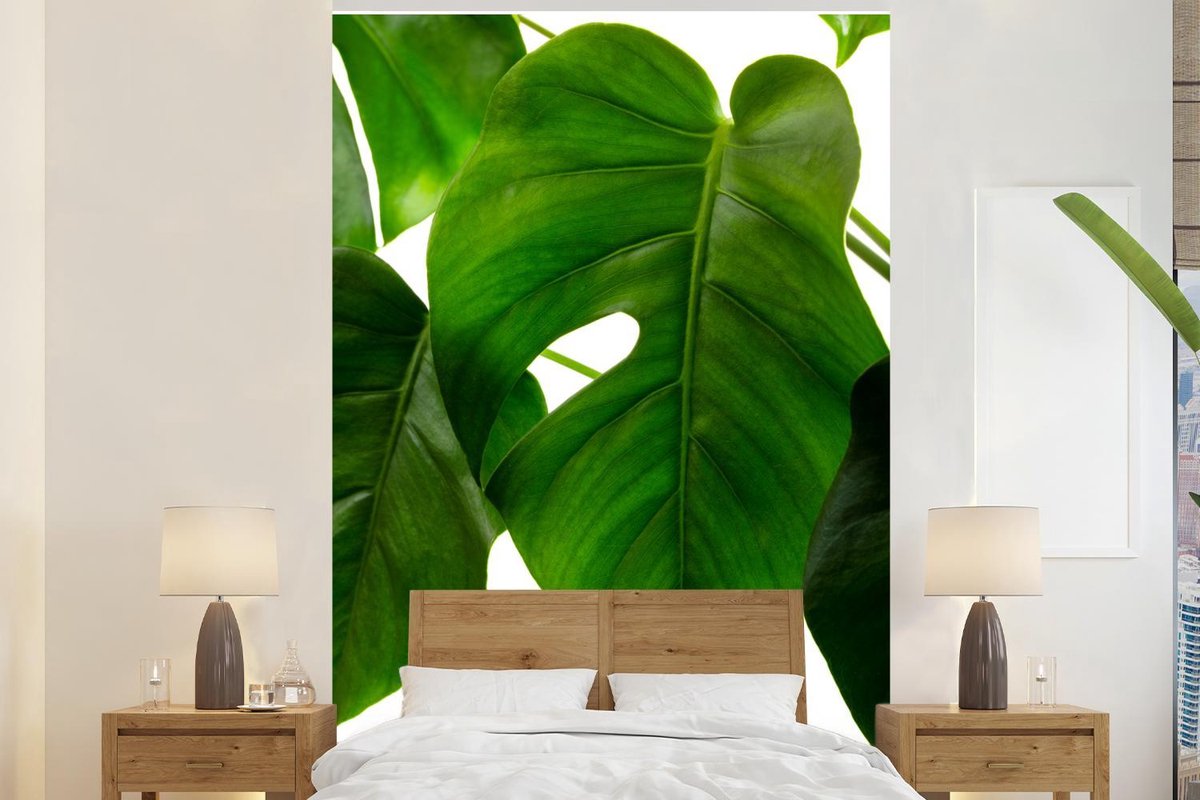 Behang - Fotobehang Een groen en botanisch blad - Breedte 200 cm x hoogte 300 cm