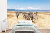 Behang - Fotobehang Kudde zebra's in de Ngorongoro-krater - Breedte 450 cm x hoogte 300 cm