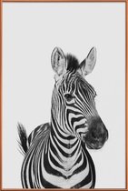 JUNIQE - Poster met kunststof lijst Zebra Classic -20x30 /Wit & Zwart