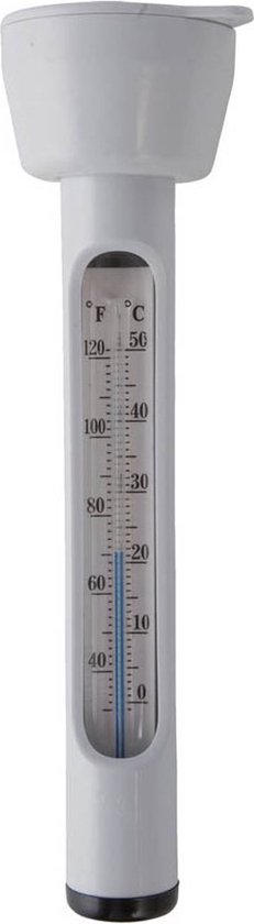 Intex 29039 accessoire pour piscine thermomètre