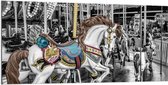 Dibond - Wit Klassiek Paard in Draaimolen - 200x100cm Foto op Aluminium (Wanddecoratie van metaal)