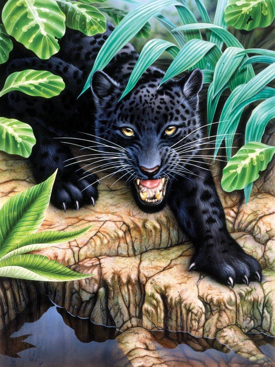 Schilderen op nummer - Paint by numbers - Gevaarlijke zwarte luipaard 22x30cm - Schilderen op nummer volwassenen - Paint by numbers volwassenen