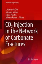 Petroleum Engineering - CO2 Injection in the Network of Carbonate Fractures