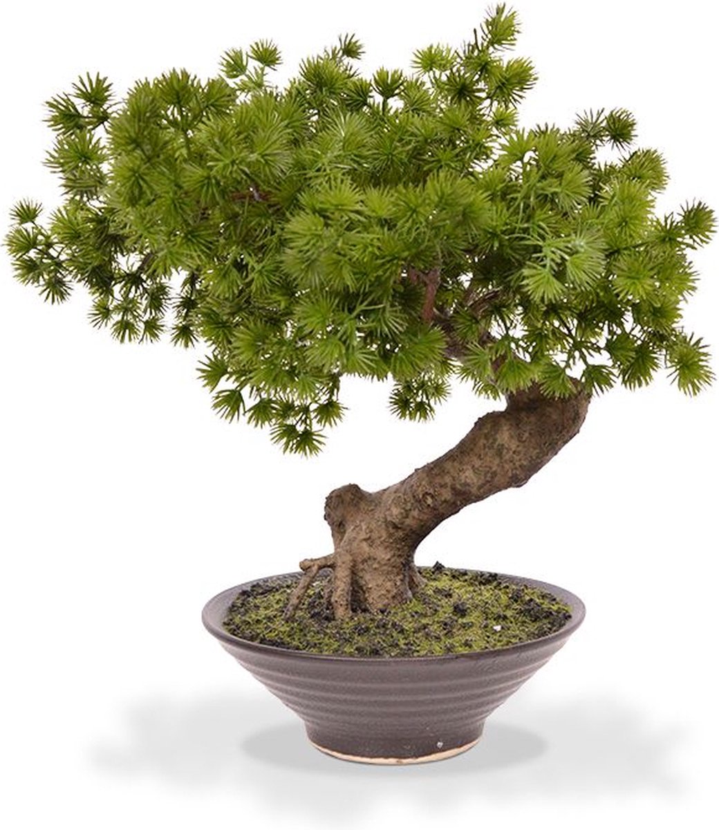 maxifleur Kunstplanten Pinus Bonsai kunstplant 38cm in kweekpot 14cm Groen