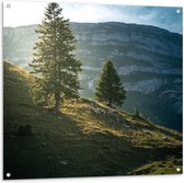 Tuinposter – Bergen met Bomen en Zonlicht - 100x100cm Foto op Tuinposter  (wanddecoratie voor buiten en binnen)
