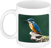 Dieren ijsvogel zittend foto mok 300 ml - cadeau beker / mok vogels liefhebber