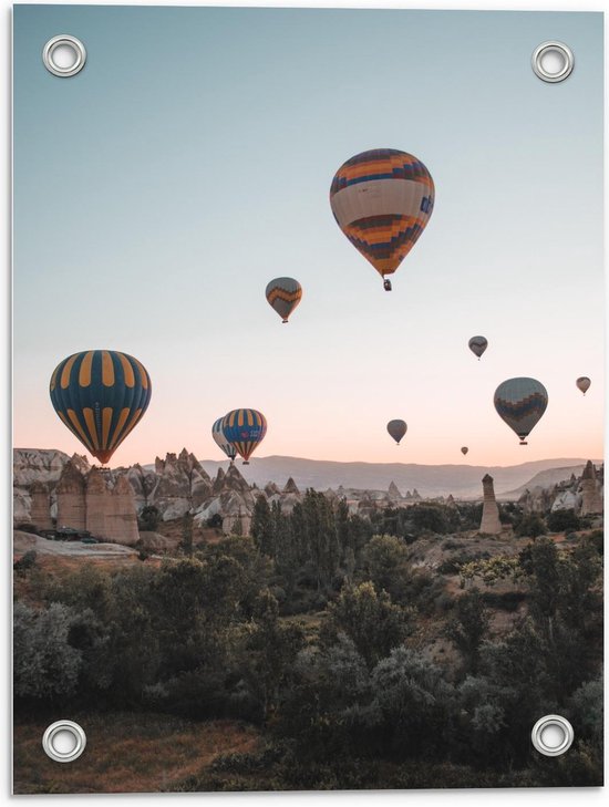 Tuinposter – Luchtballonnen boven Tempels - 30x40cm Foto op Tuinposter  (wanddecoratie voor buiten en binnen)