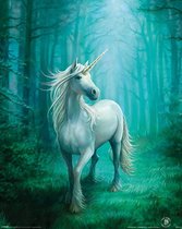 Pyramid Anne Stokes Forest Unicorn  Poster - 40x50cm