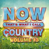 Now That's What I Call Country, Volume 13 [CD]