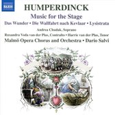 Dario Salvi - Andrea Chudak - Harrie Van Der Plas - Music For The Stage (CD)
