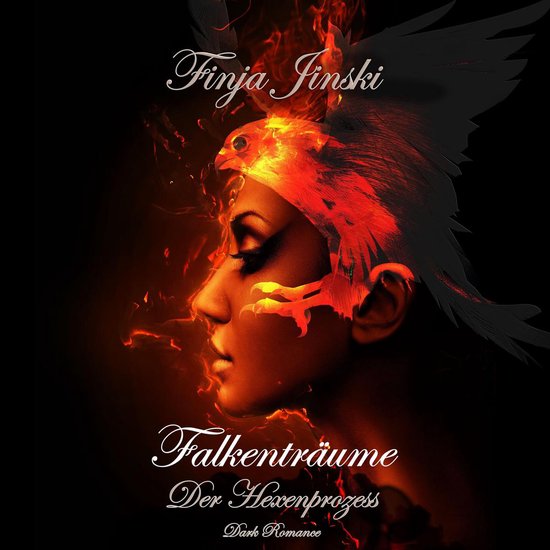 Falkenträume: Der Hexenprozess - cover