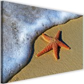 Schilderij  Oranje zeester, 2 maten (wanddecoratie)