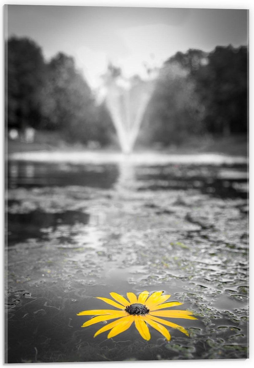 Acrylglas - Gele Bloem in het Water bij Fontein - 40x60cm Foto op Acrylglas (Met Ophangsys