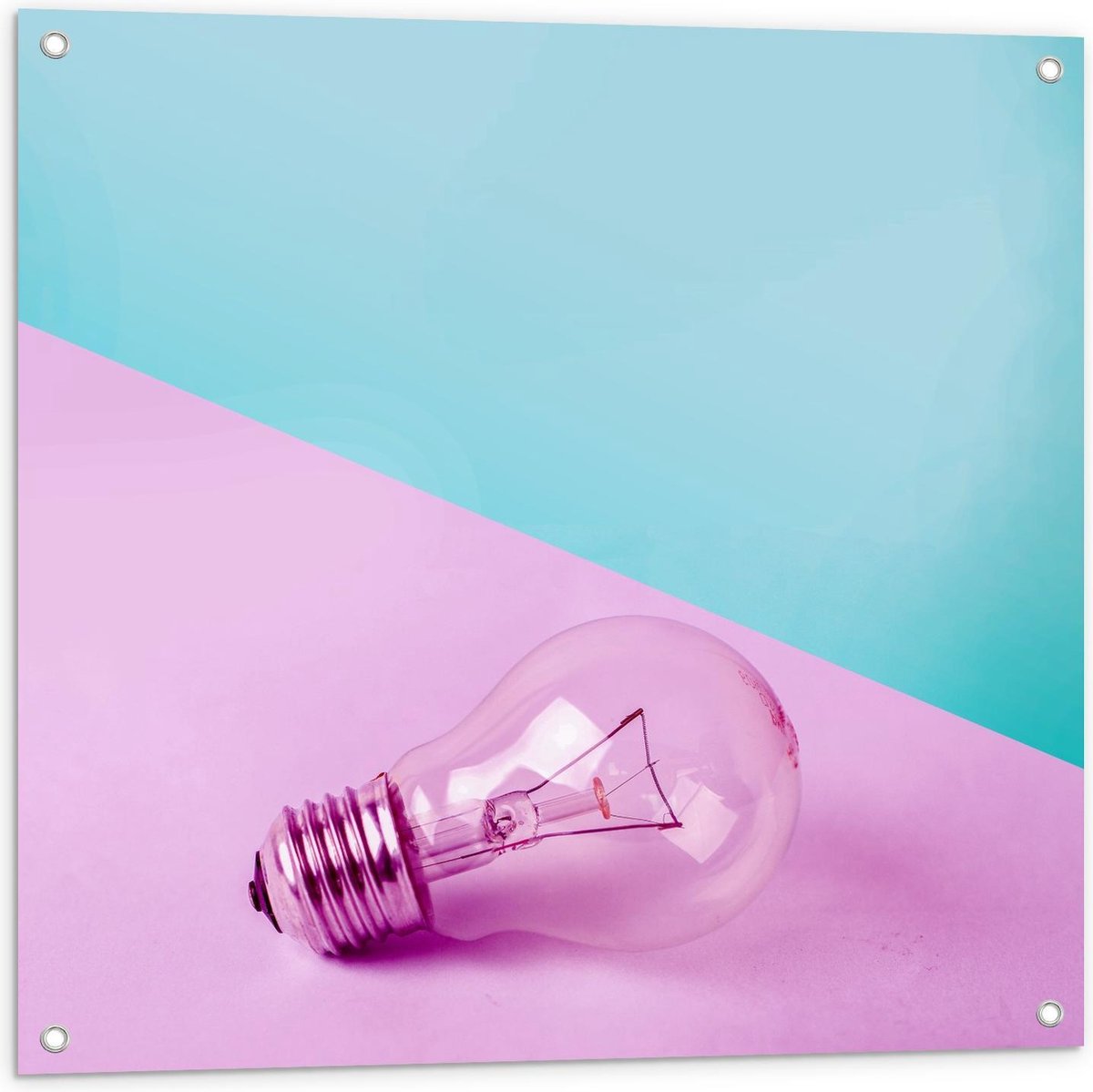 Tuinposter – Gloeilamp Roze/Blauwe Achtergrond - 80x80cm Foto op Tuinposter (wanddecoratie