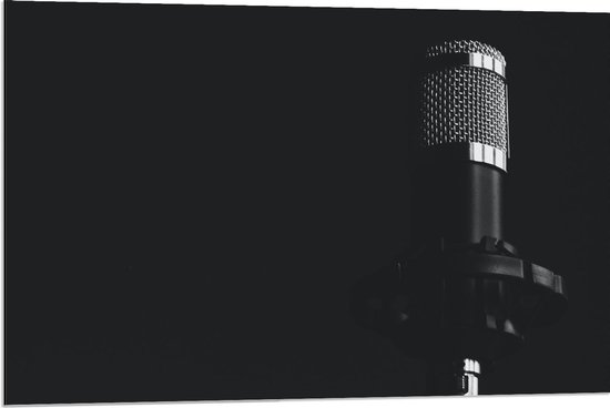 Dibond - Zwarte Microfoon op Zwarte Achtergrond - 90x60cm Foto op Aluminium (Met Ophangsysteem)