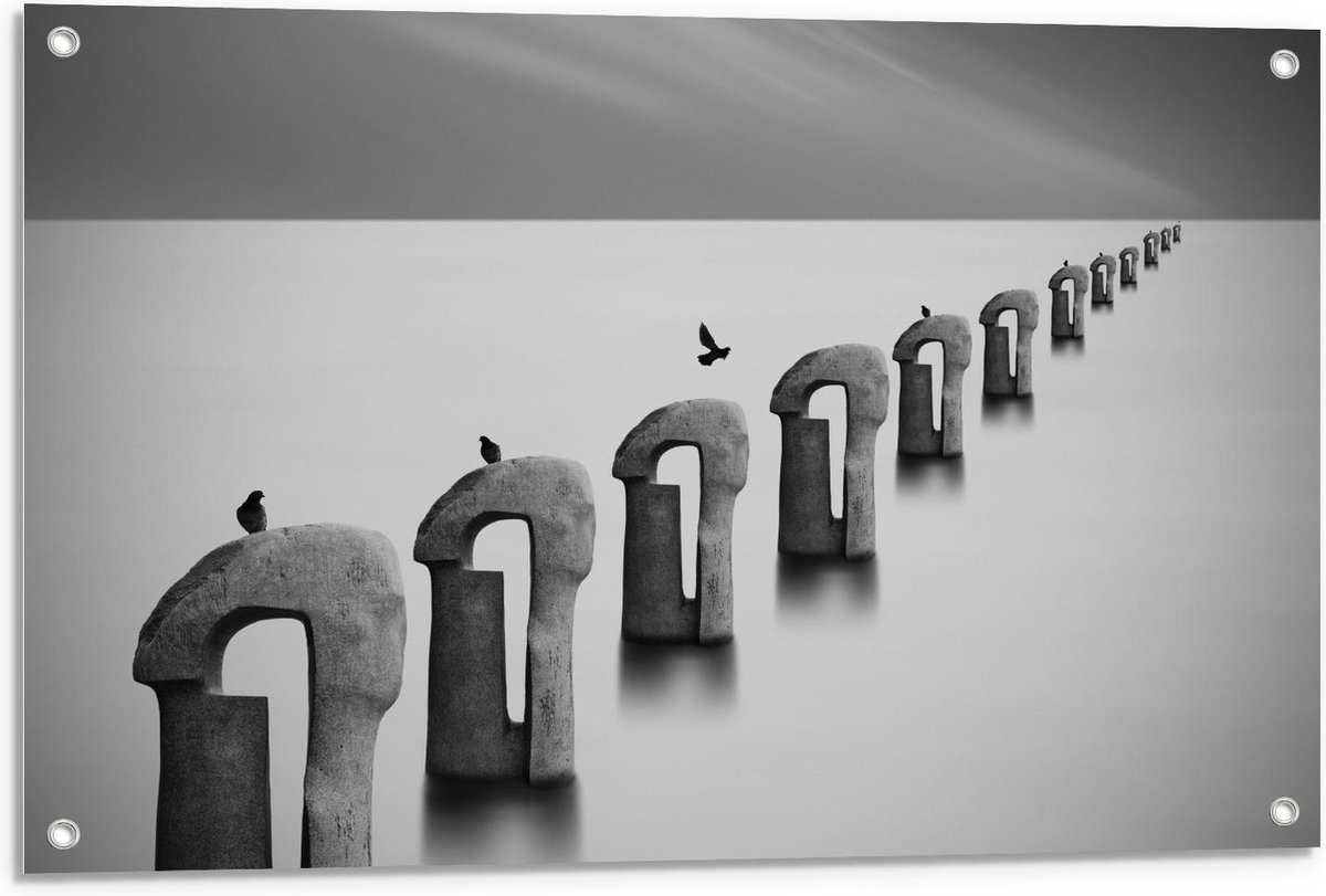 Tuinposter – Vogels op Betonnen Palen ( Zwart Wit ) - 90x60cm Foto op Tuinposter (wanddeco