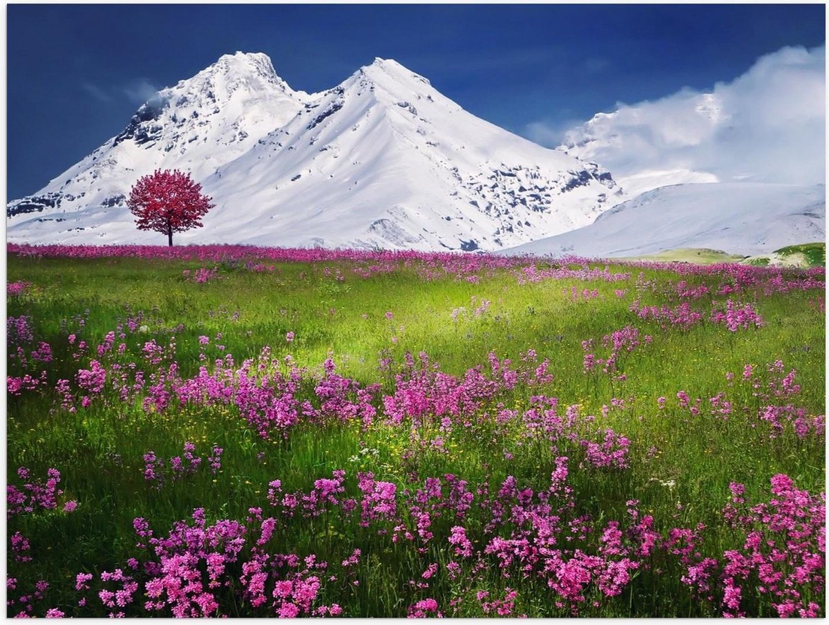 Poster – Sneeuw Bergen bij Groen Landschap - 40x30cm Foto op Posterpapier op Prijzenvolger.com