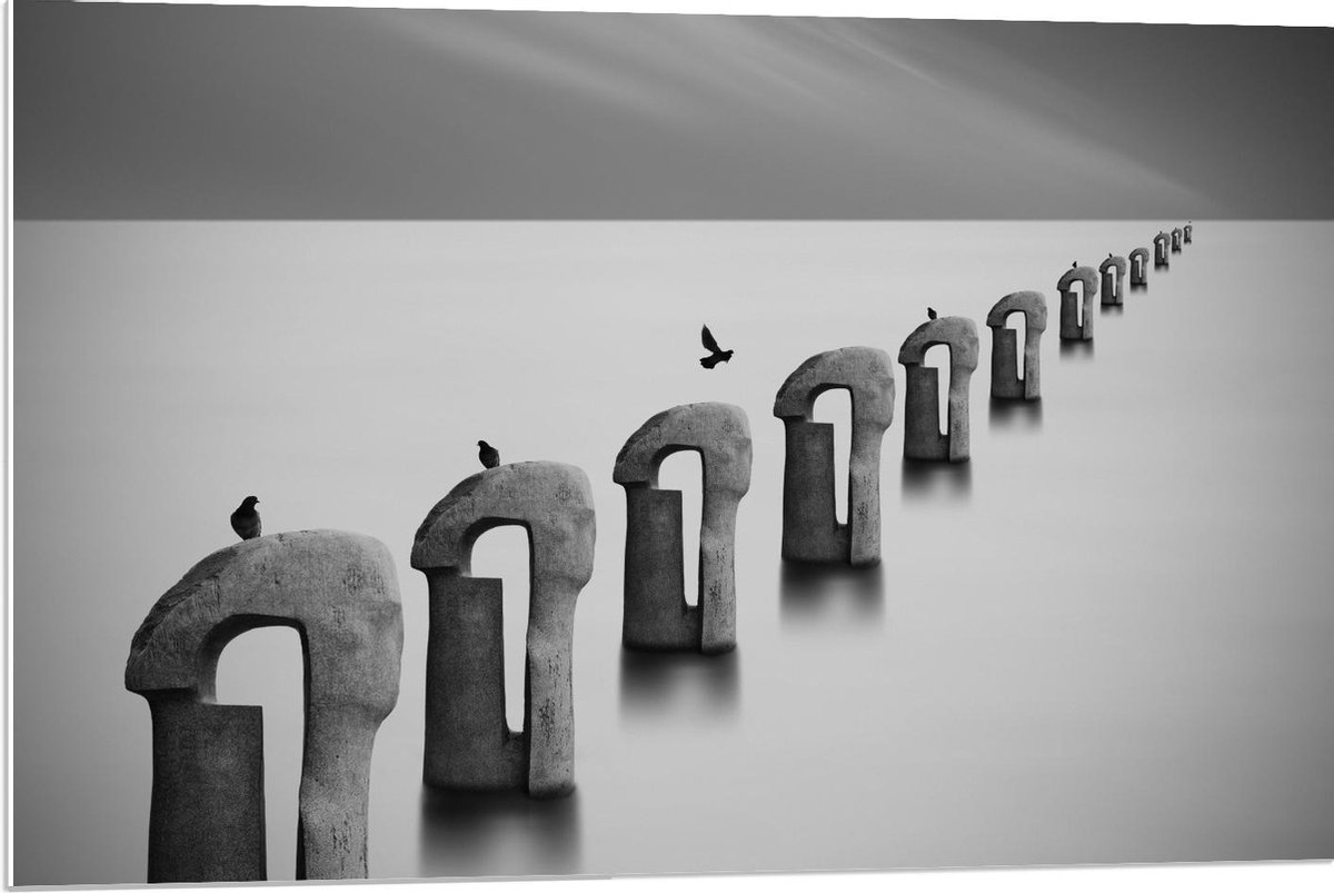 Forex - Vogels op Betonnen Palen ( Zwart Wit ) - 90x60cm Foto op Forex