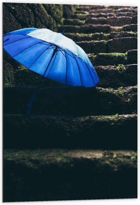 Dibond - Blauwe Paraplu op Trap - 60x90cm Foto op Aluminium (Met Ophangsysteem)