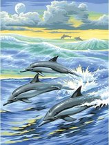 Schilderen Op Nummer Dolfijnen