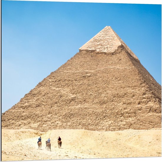 Dibond - Kamelen aan Piramide - 80x80cm Foto op Aluminium (Wanddecoratie van metaal)