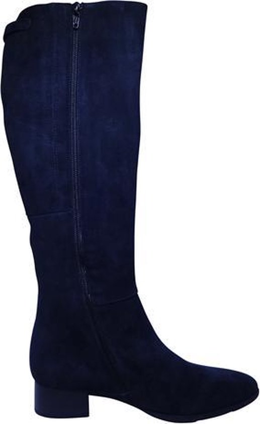 geestelijke gezondheid Haan Soedan Gabor Comfort hoge laarzen blauw - Maat 40 | bol.com